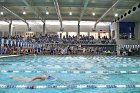 Swimming & Diving vs Babson  Swimming & Diving vs Babson College. - Photo by Keith Nordstrom : Wheaton, Swimming